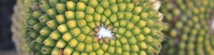 Didaktik der Mathematik